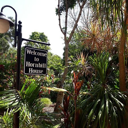 Hornbill House Bed and Breakfast Mtubatuba Esterno foto