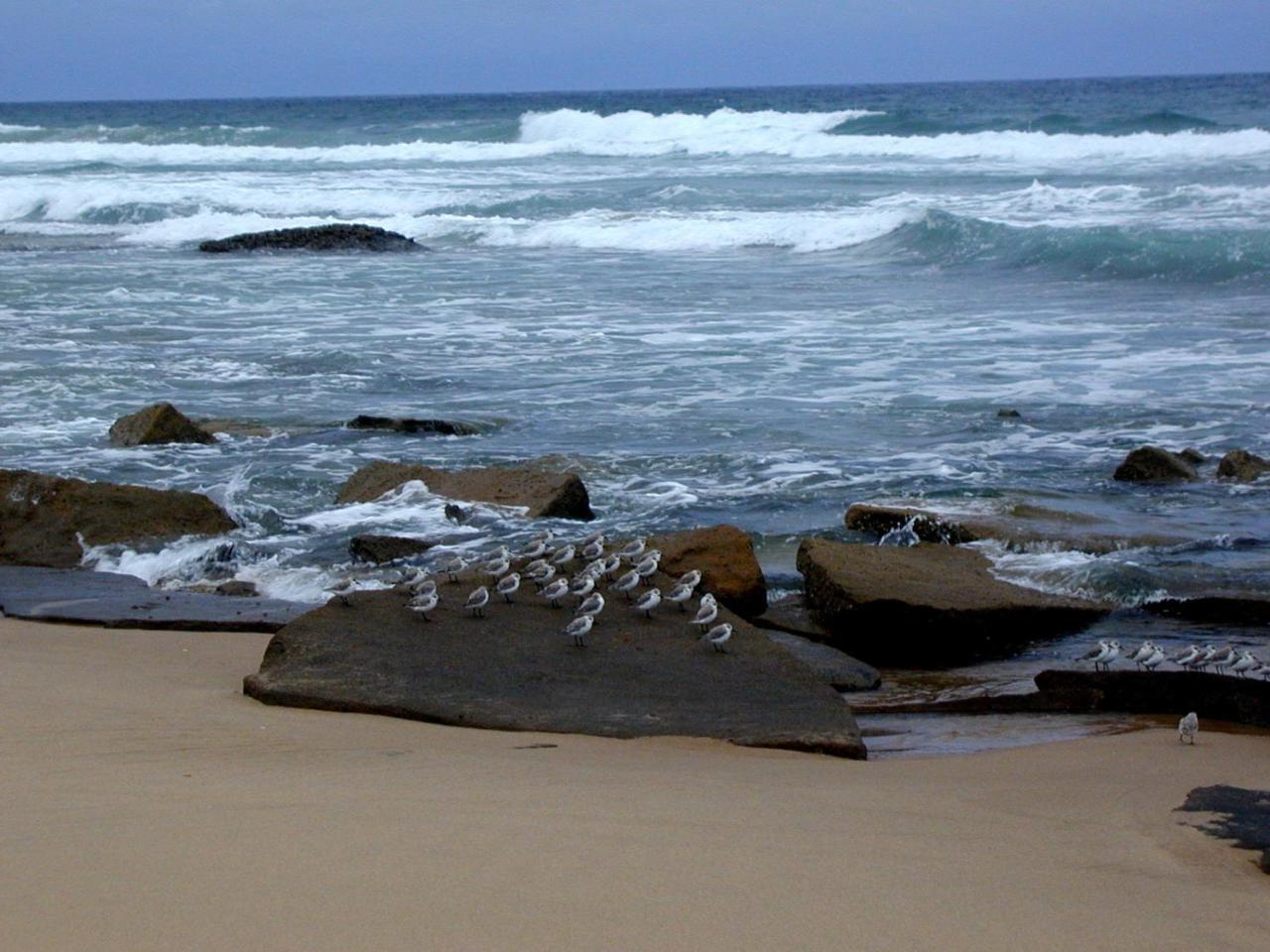 Hornbill House Bed and Breakfast Mtubatuba Esterno foto